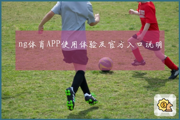 ng体育APP使用体验及官方入口说明