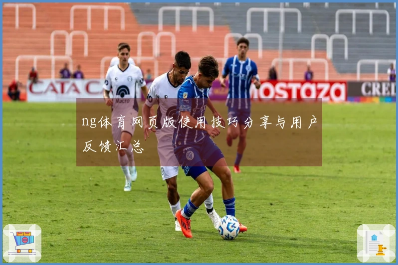 ng体育网页版使用技巧分享与用户反馈汇总
