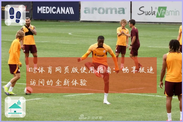 ng体育网页版使用指南：畅享极速访问的全新体验