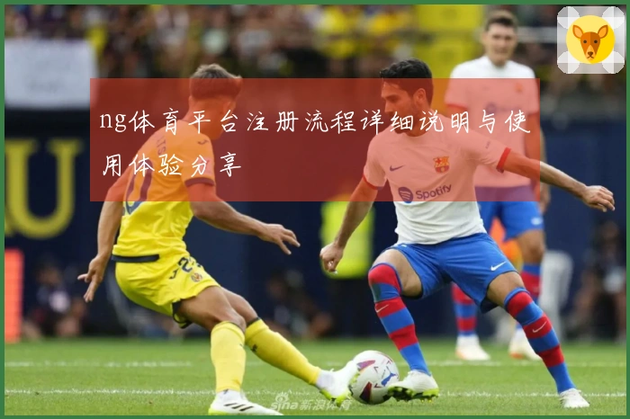 ng体育平台注册流程详细说明与使用体验分享