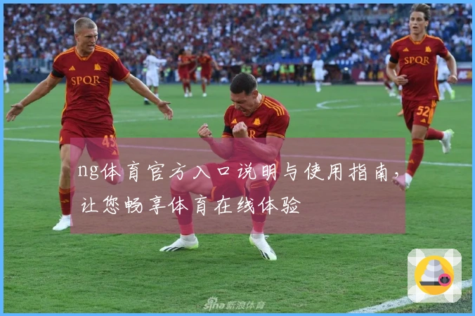 ng体育官方入口说明与使用指南，让您畅享体育在线体验