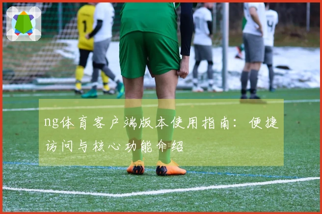 ng体育客户端版本使用指南：便捷访问与核心功能介绍