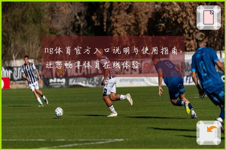 ng体育官方入口说明与使用指南，让您畅享体育在线体验