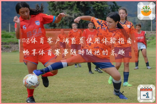 ng体育客户端首页使用体验指南,畅享体育赛事随时随地的乐趣