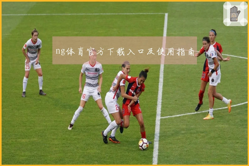 ng体育官方下载入口及使用指南
